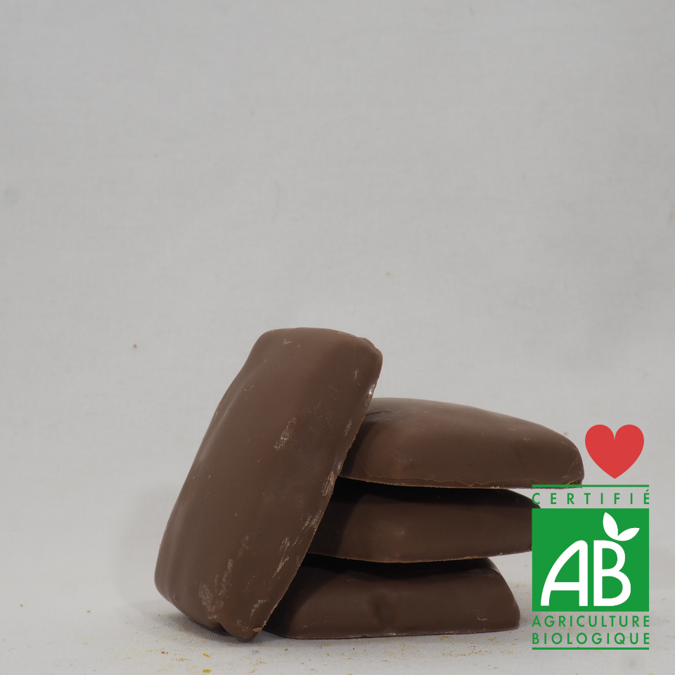 CROUSTI CHOC NOISETTE BIO