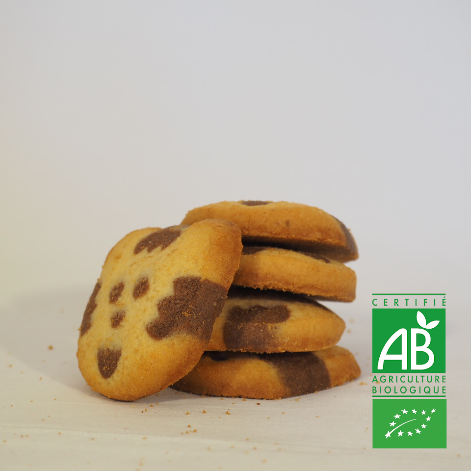 TIGRES CHOCO VANILLE BIO