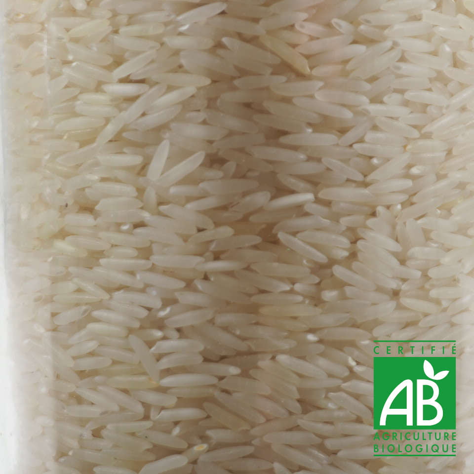 RIZ BASMATI BLANC BIO