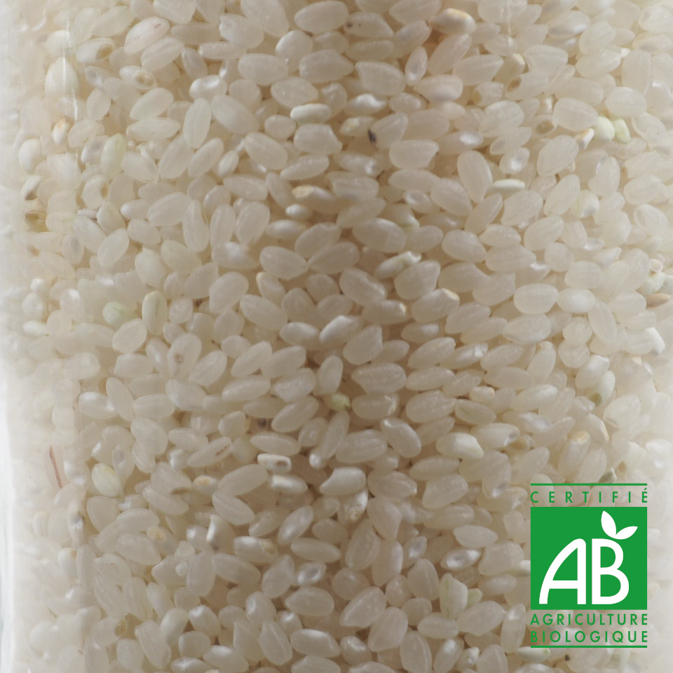 RIZ ROND BLANC CAMARGUE BIO