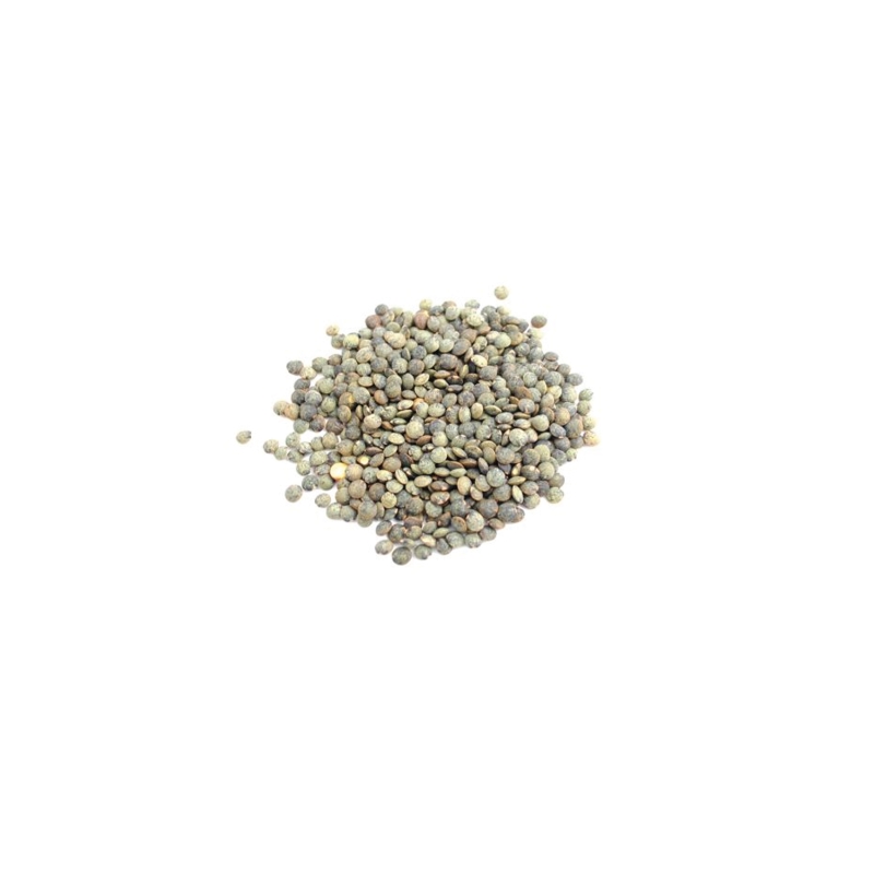 LENTILLES VERTES BIO FRANCE