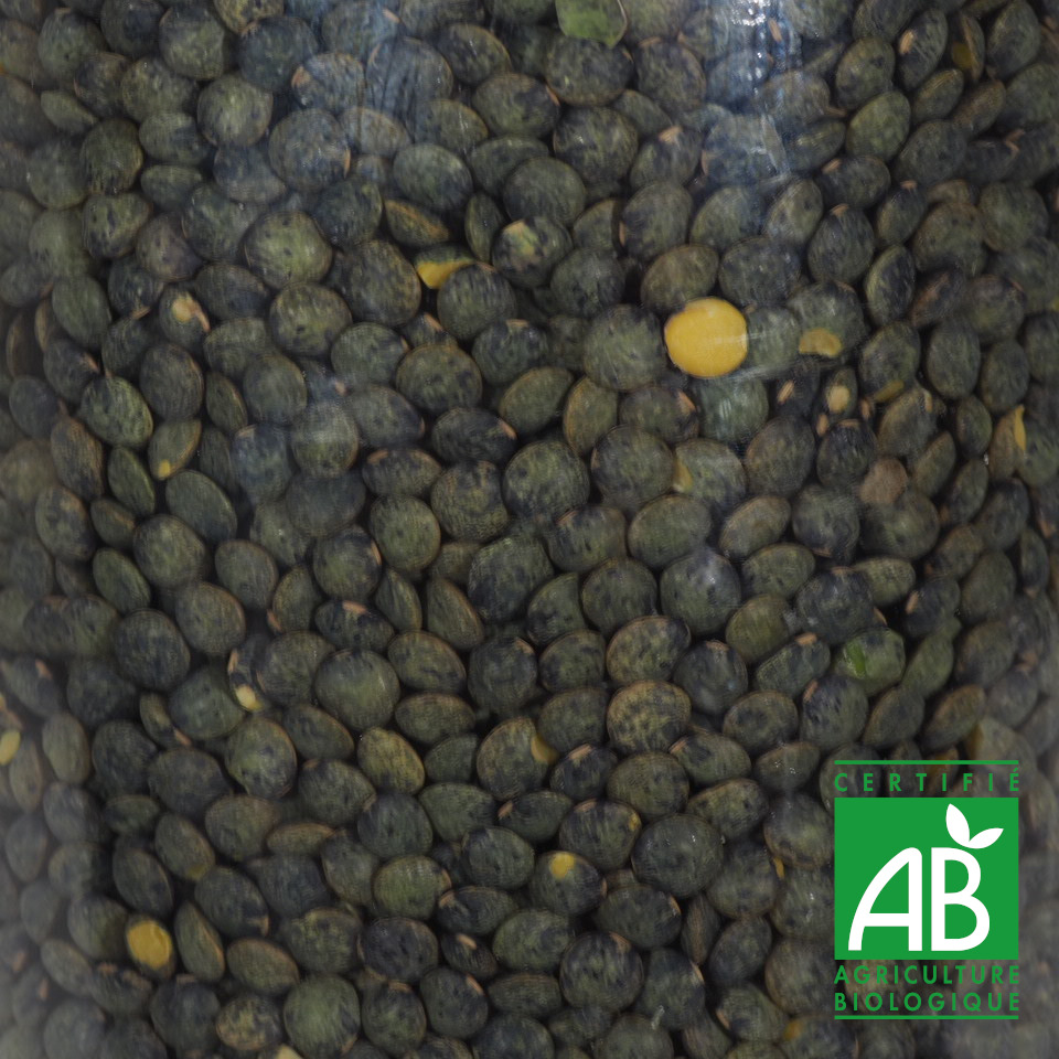 LENTILLES VERTES BIO