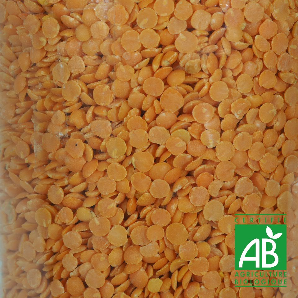 LENTILLES CORAIL BIO