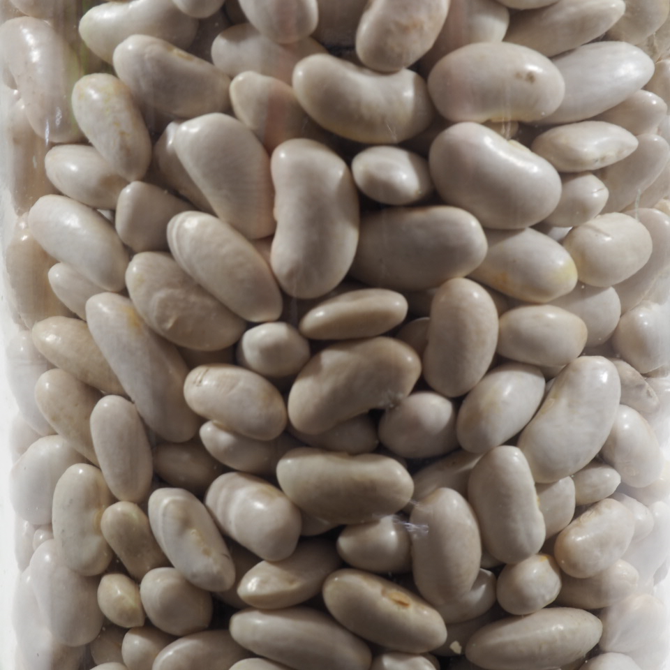 HARICOTS BLANC BIO FRANCE