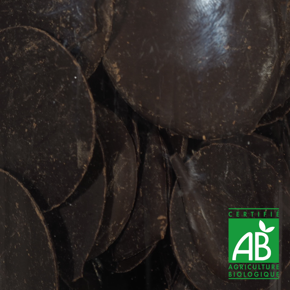 PALETS CHOC NOIR 60% BIO
