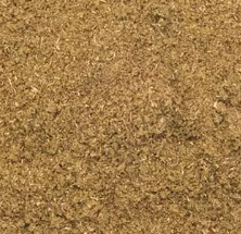 CUMIN ORIENTAL POUDRE BIO