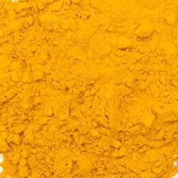 CURCUMA POUDRE BIO