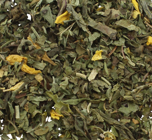 THE VERT MORNING DETX