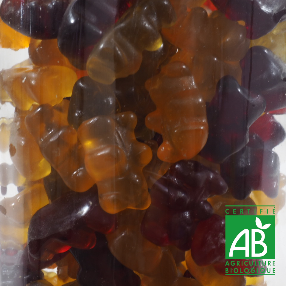 BONBONS OURSON BIO
