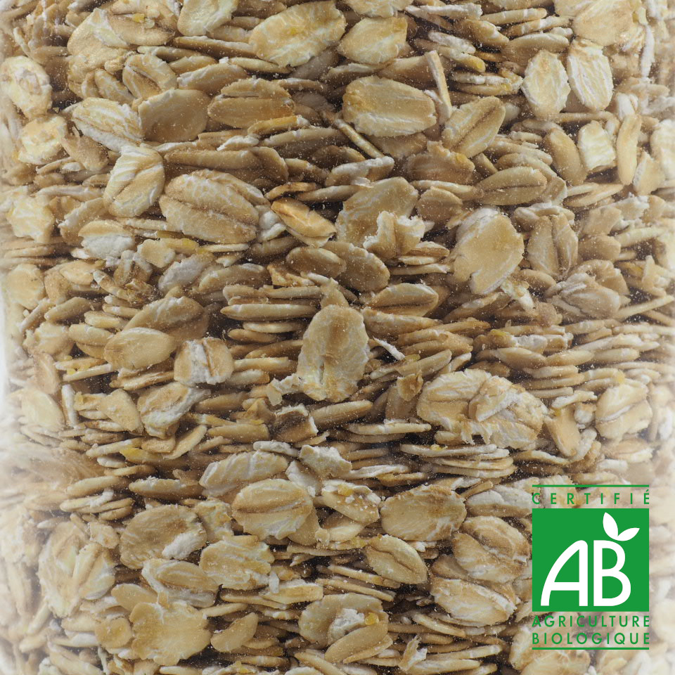 FLOCONS AVOINE GROS BIO 100G