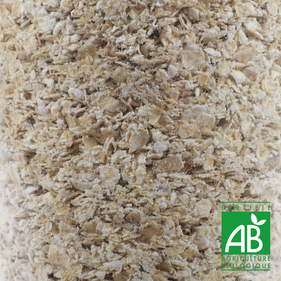 FLOCONS AVOINE FIN BIO 100G