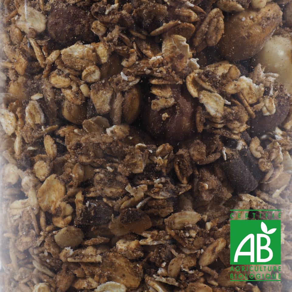 MUESLI IRRESISTIBLE BIO 100G