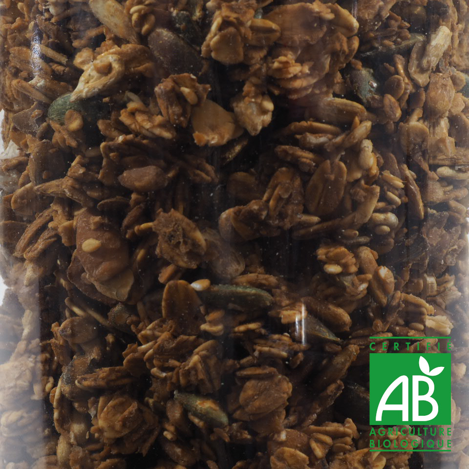 GRANOLA GOURMAND BIO 100G