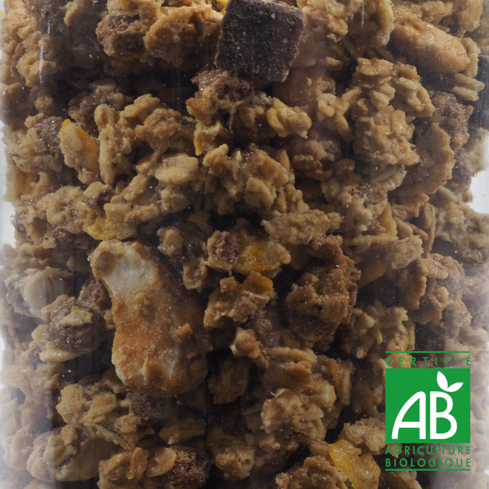 KROUNCHY CHOCOLAT BIO 100G