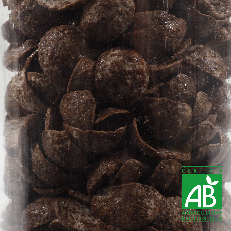 PETALES CHOCO BIO 100G