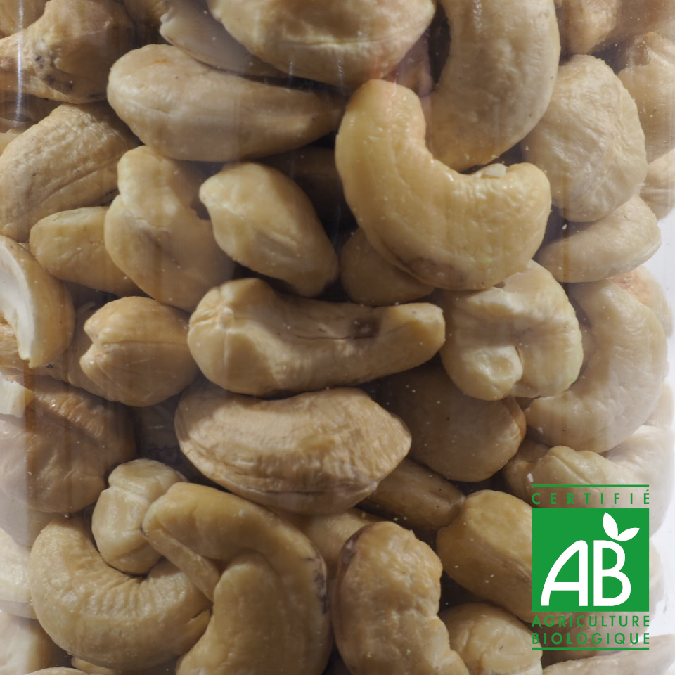 NOIX DE CAJOU BIO 100G