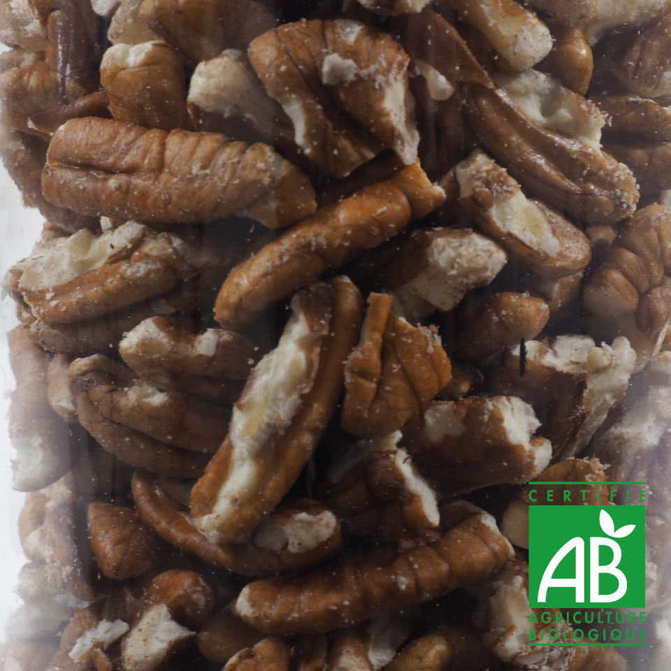 NOIX DE PECAN GROS MORCEAUX BIO 100G