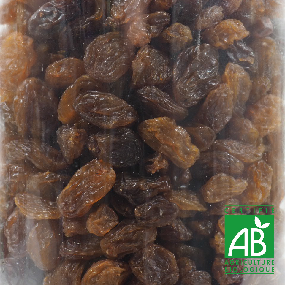 RAISIN SULTANINES BIO 100G