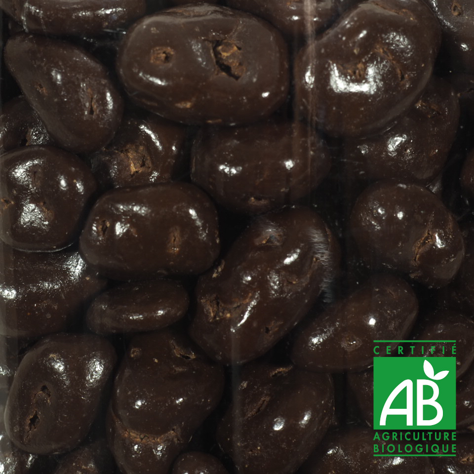 CANNEBERGES AU CHOCOLAT NOIR BIO 100G