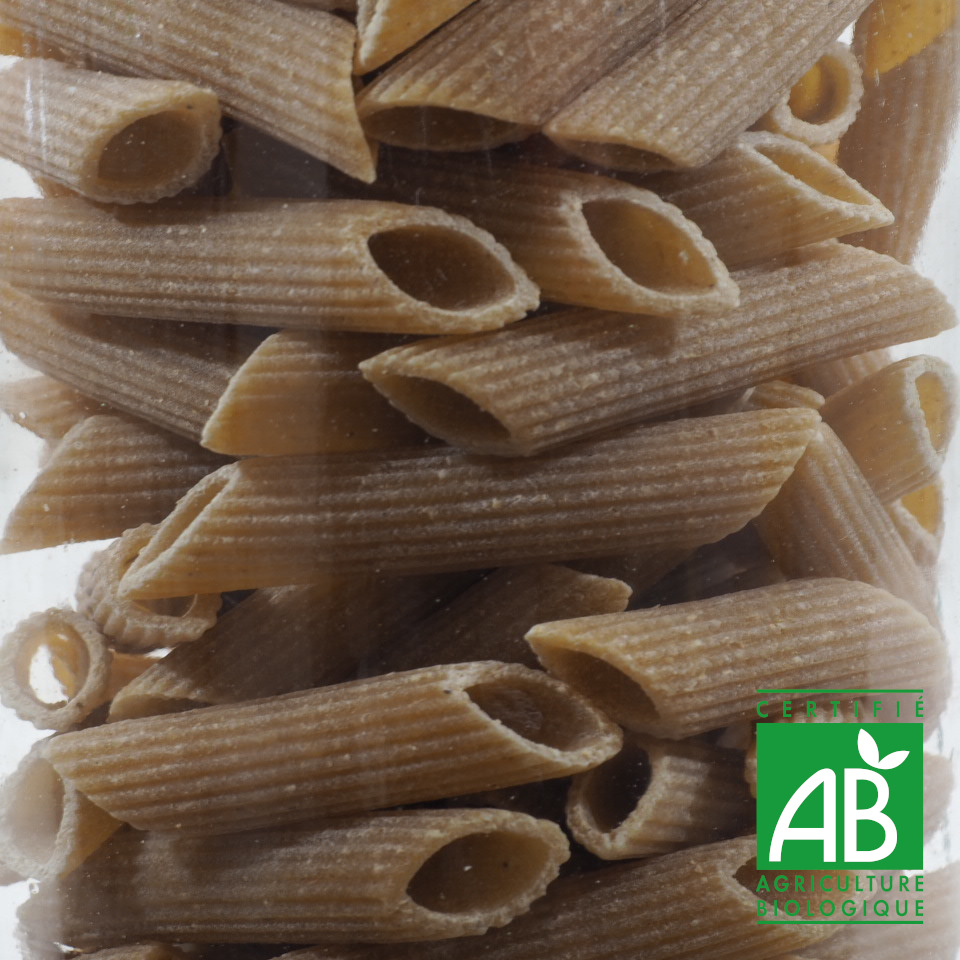 PENNES COMPLETES BIO 100G
