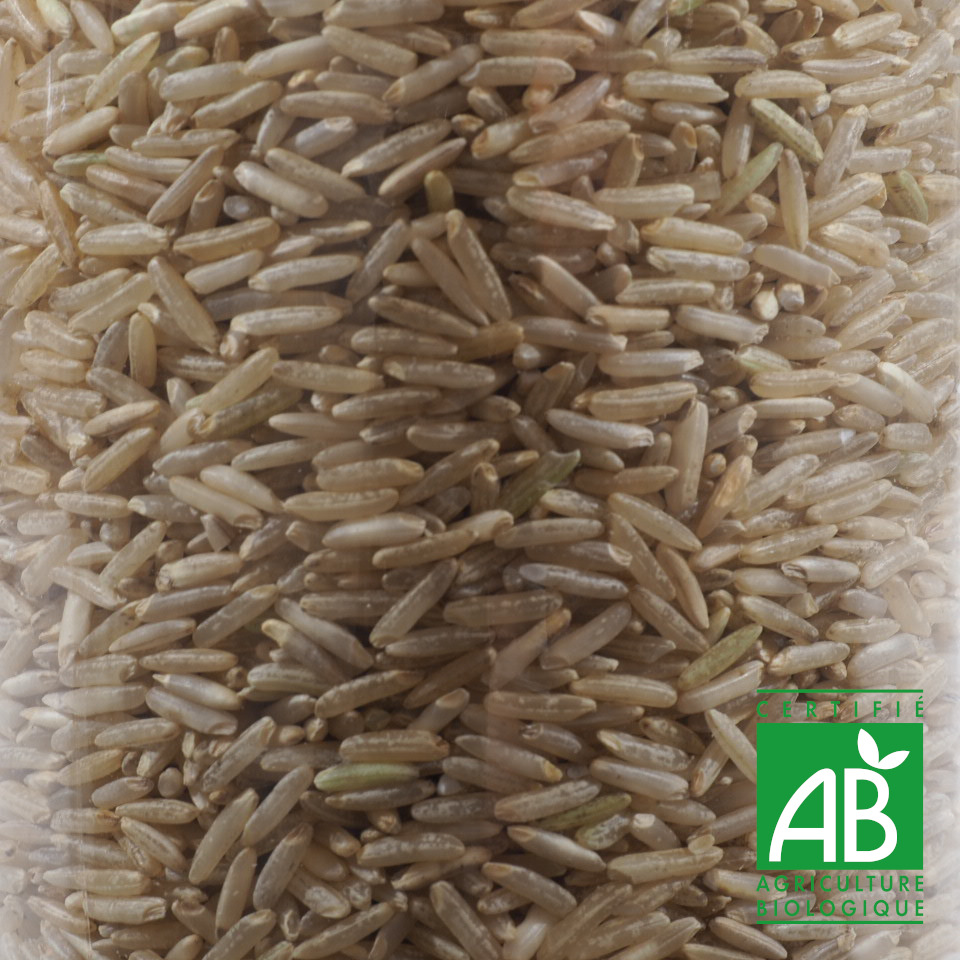 RIZ LONG COMPLET ETUVE BIO 100G