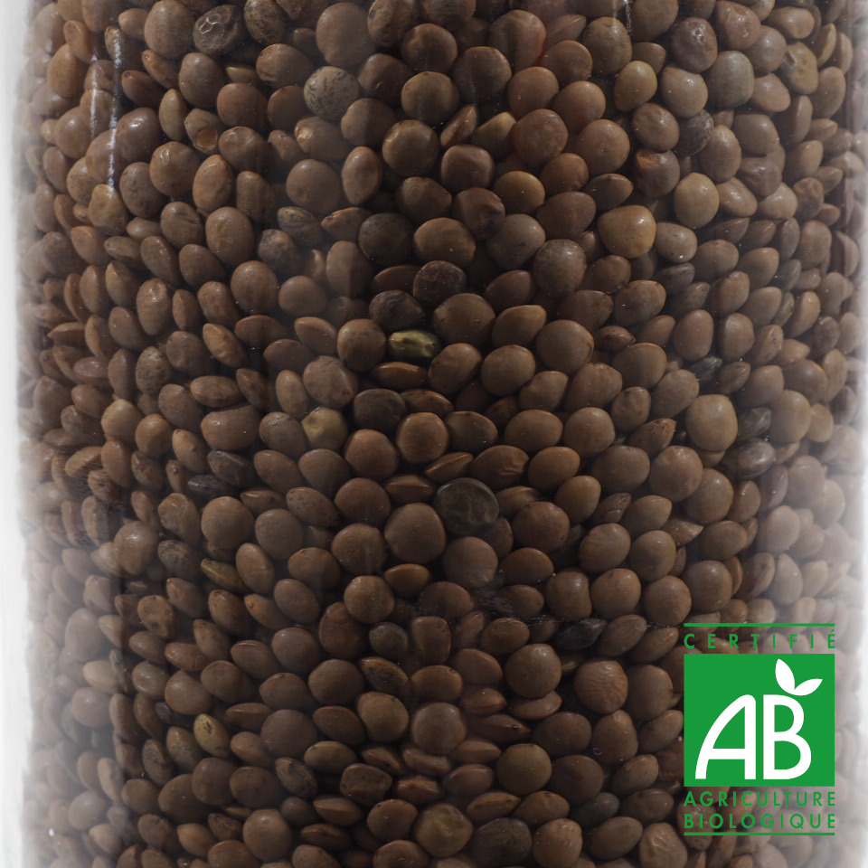 LENTILLONS CHAMPAGNE BIO 100G