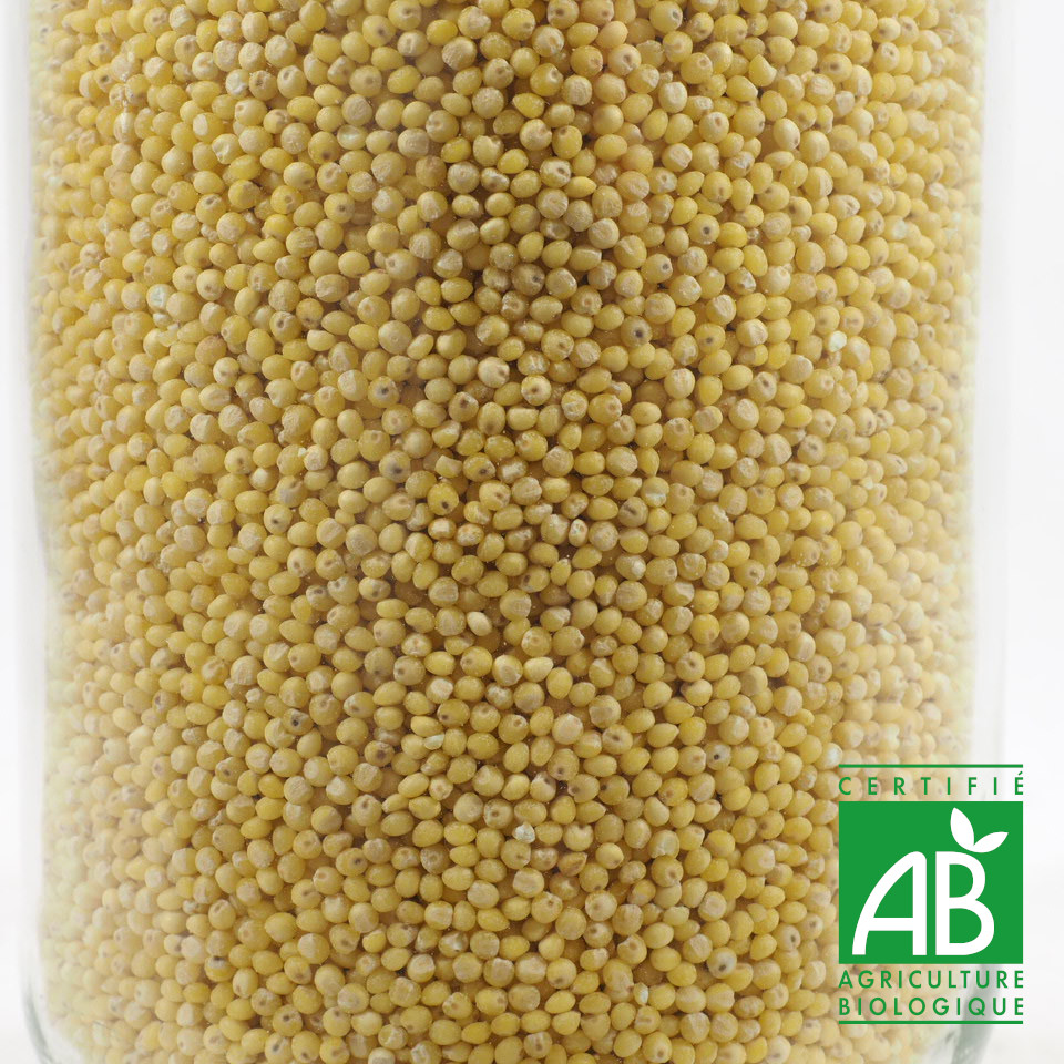 GRAINES DE MILLET BIO 100G