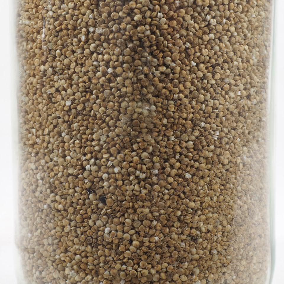 QUINOA 100G