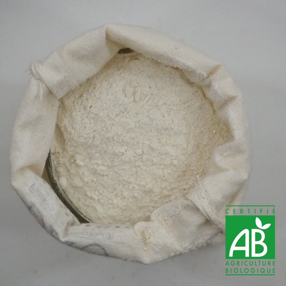 FARINE SEMI-COMPLETE BIO 100G