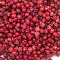 BAIES ROSES BIO 100G
