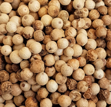 POIVRE BLANC EN GRAINS BIO 100G