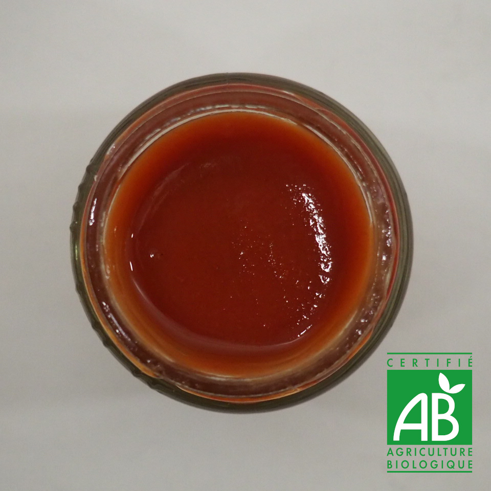 KETCHUP BIO 100G