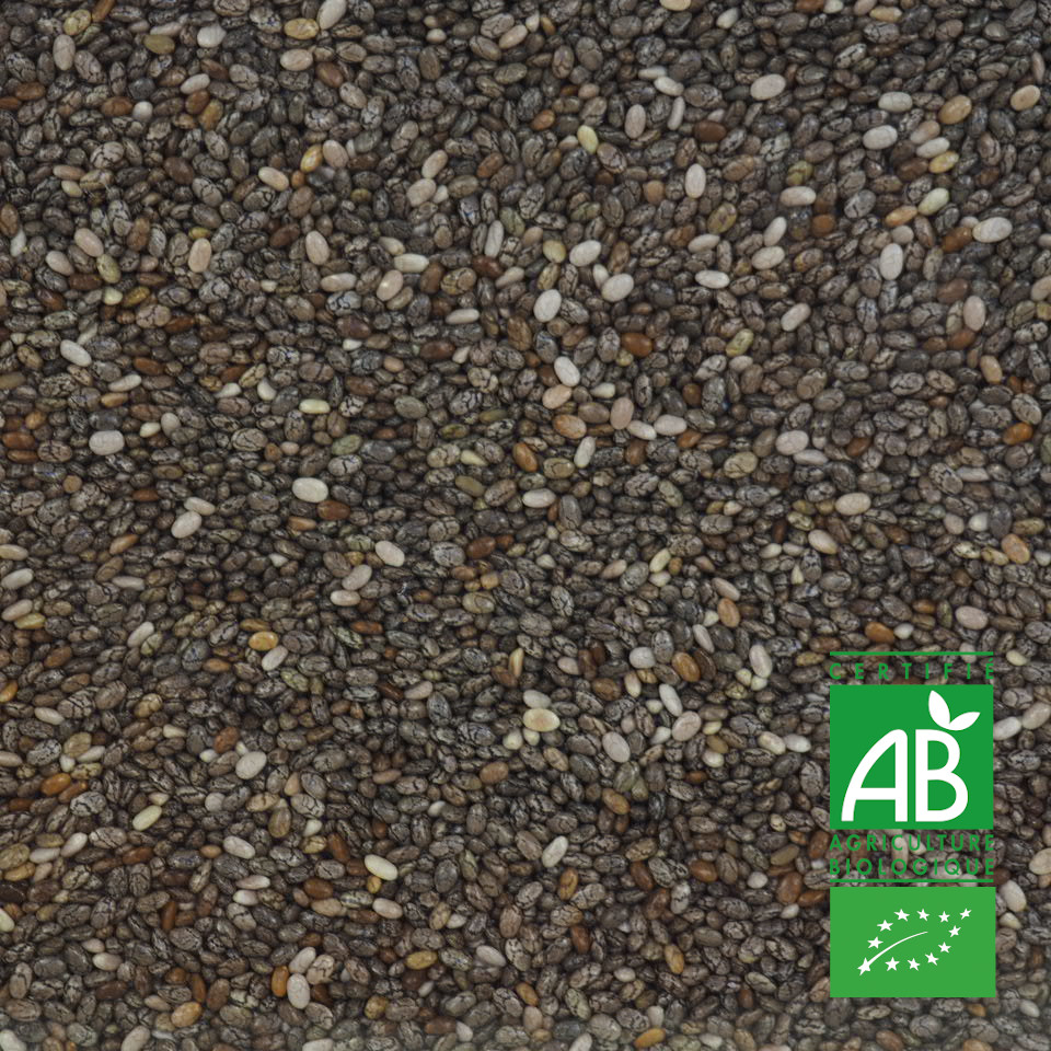 GRAINES DE CHIA BIO 100G