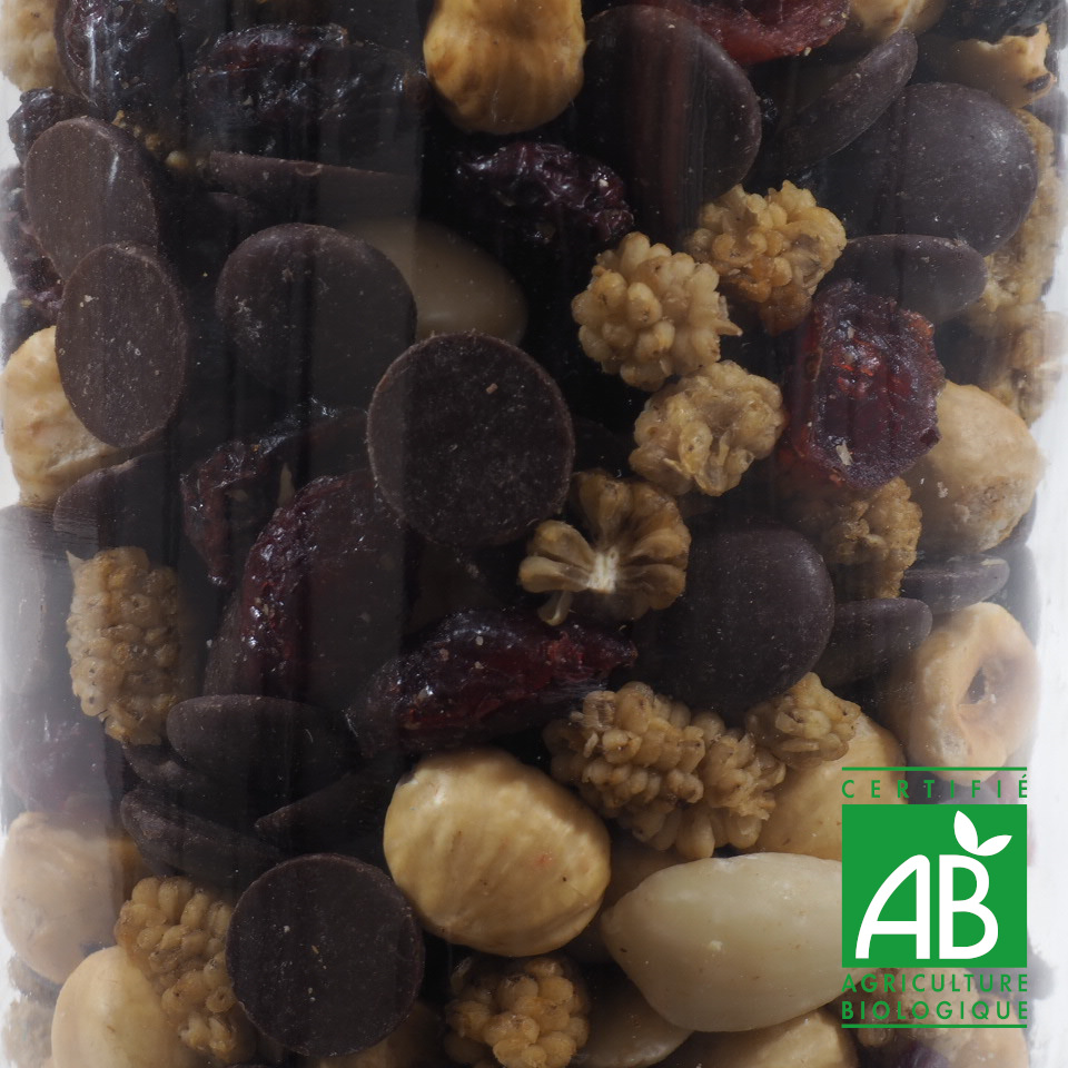 MELANGE CHOCO GOURMAND BIO 100G