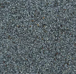 GRAINES DE PAVOT BIO