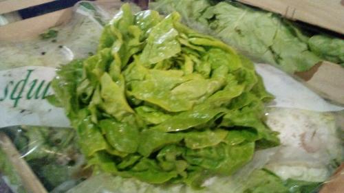 SALADE BIO
