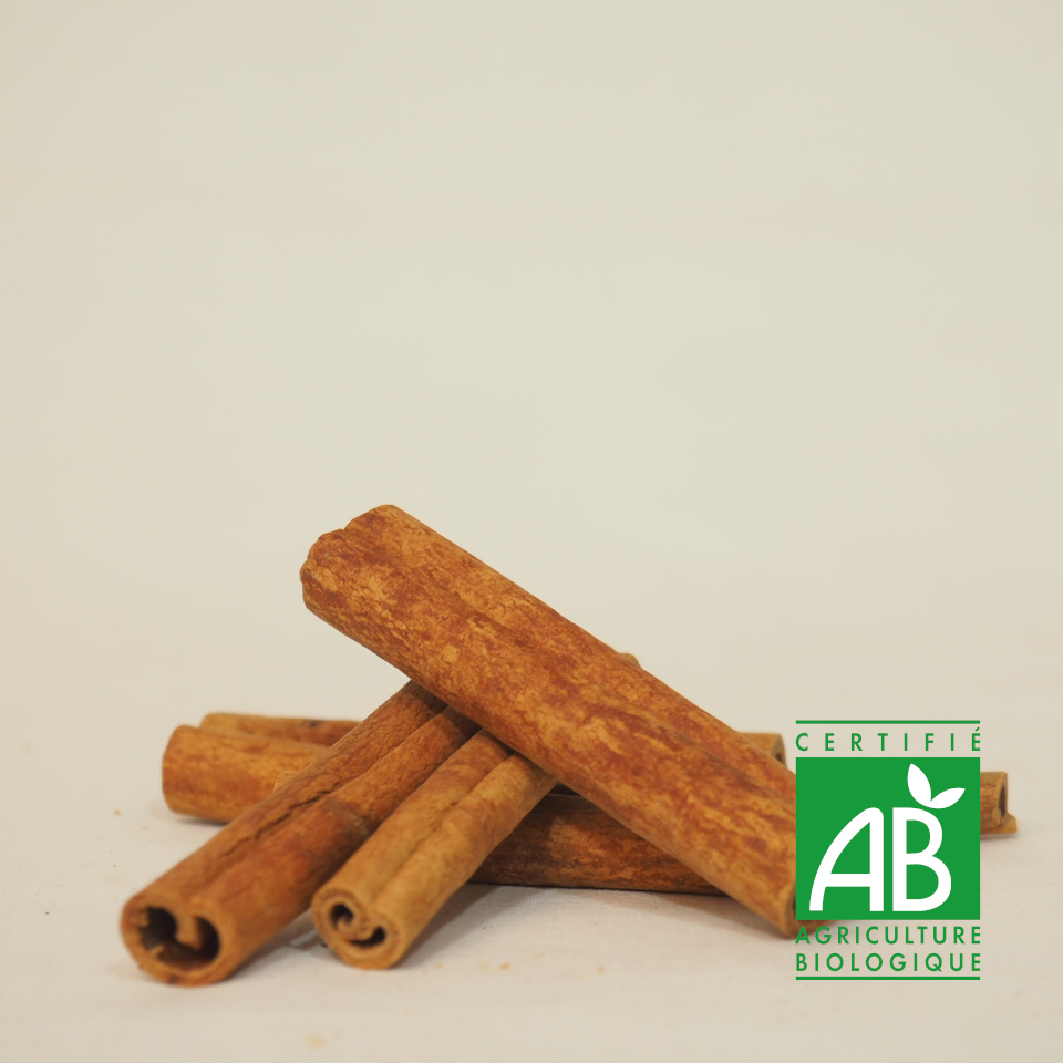 BATONS DE CANNELLE BIO