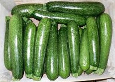 COURGETTES BIO ORG. TETEGHEM