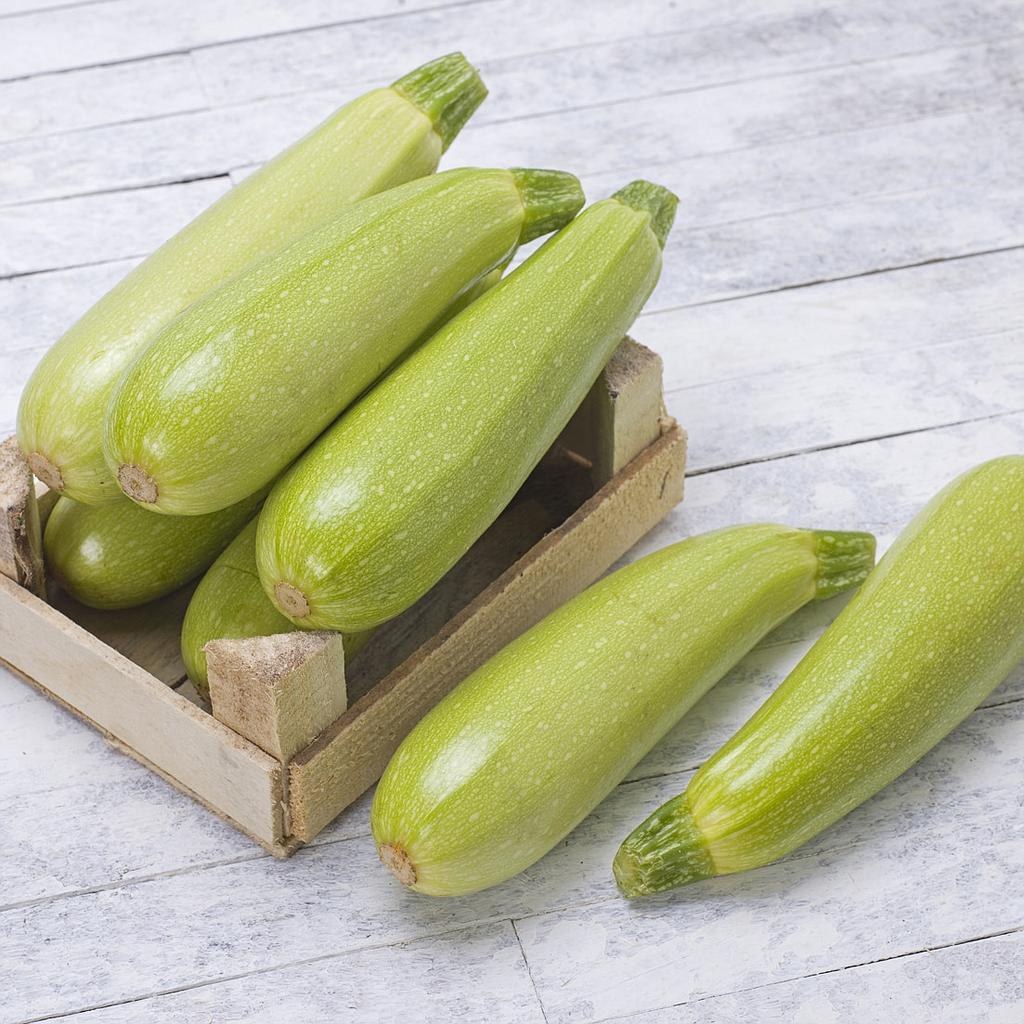 COURGETTE BIO