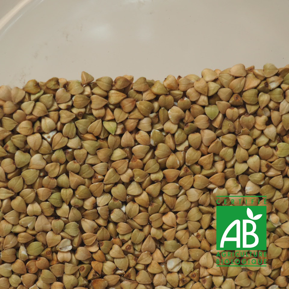 GRAINES DE SARRASIN BIO 100G