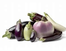 AUBERGINE BIO