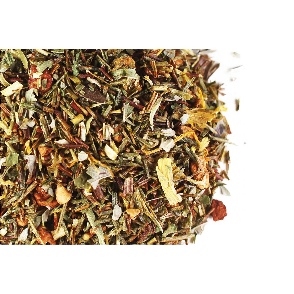 ROOIBOS VERT FRUITS ET PASSION BIO