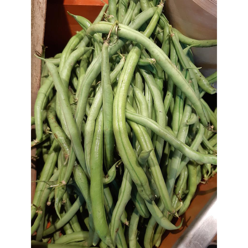 HARICOTS VERTS BIO