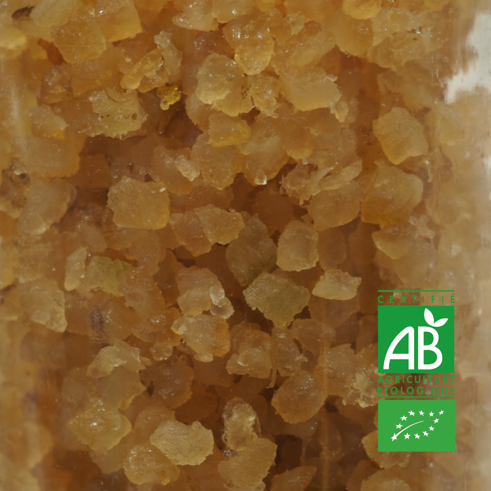 ECORCE CITRON CONFITE BIO 100G