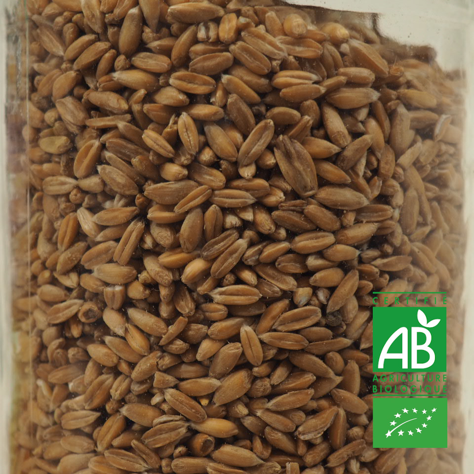 EPEAUTRE BIO 100G