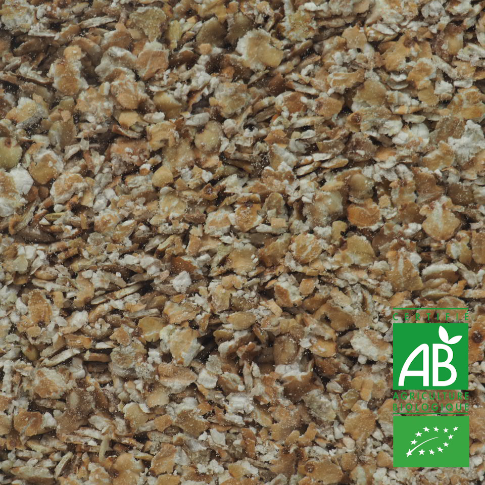 FLOCONS SARRASIN BIO 100G