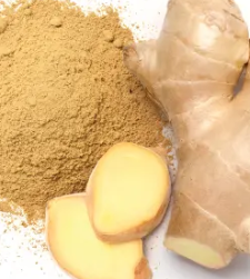 GINGEMBRE POUDRE BIO 100G