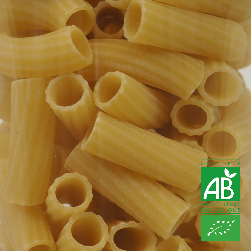 MACARONI SEDANETTI BLANCHE BIO 100G