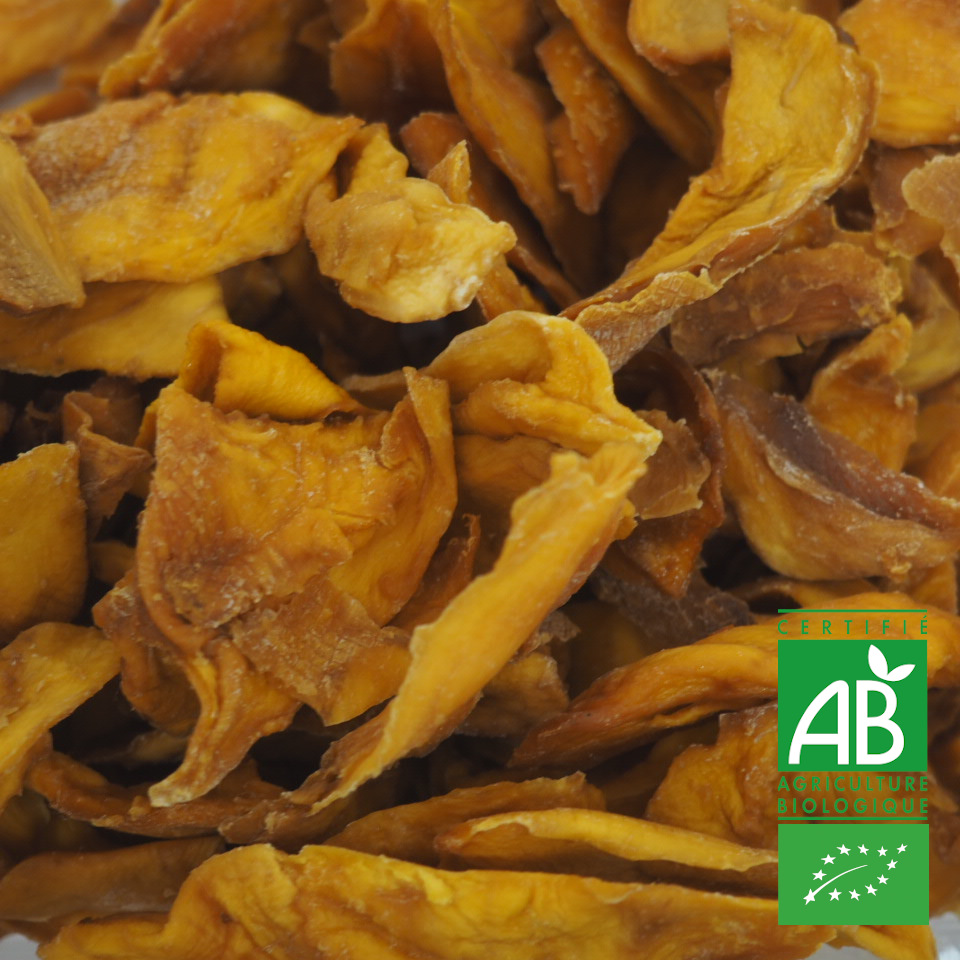 MANGUES SECHEES EN TRANCHE BIO 100G