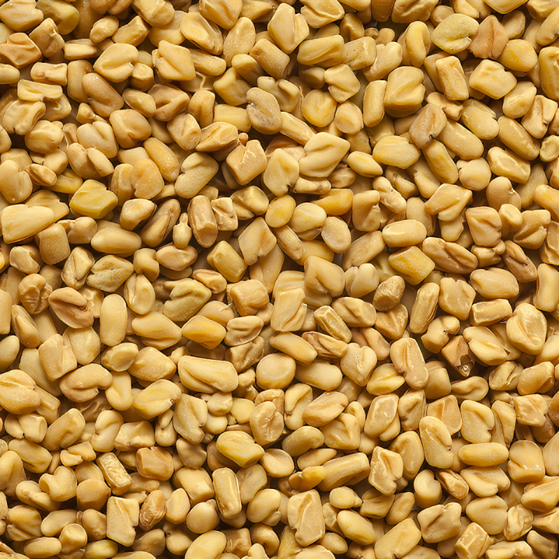 FENUGREC BIO